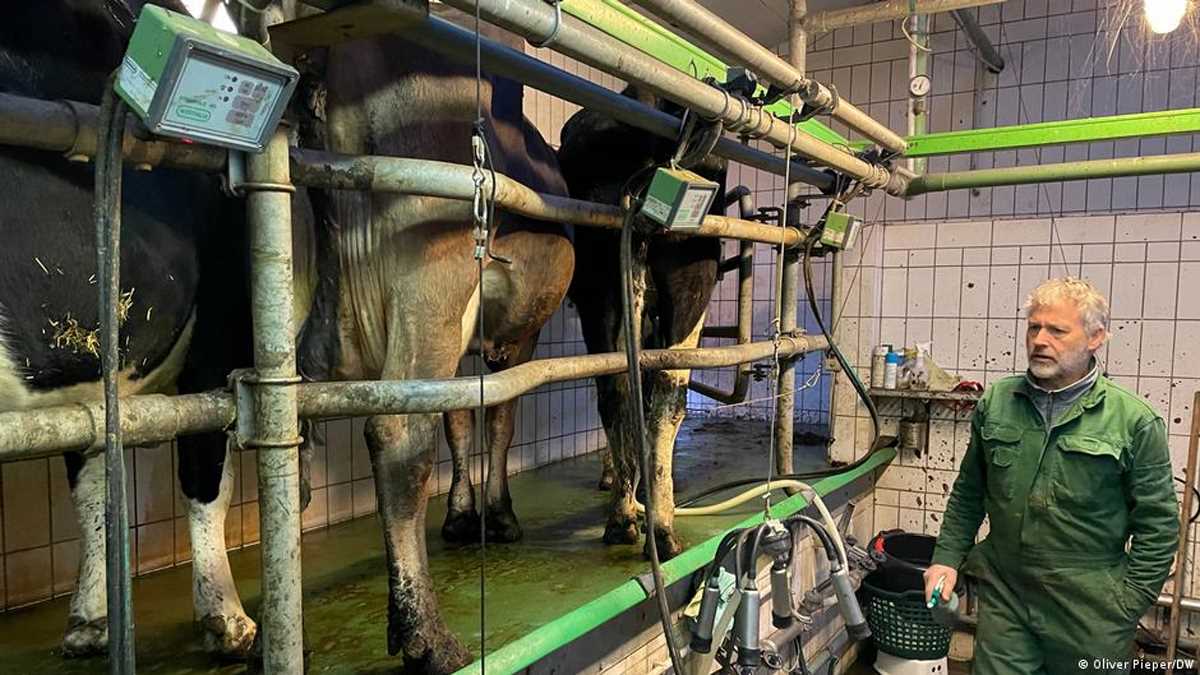 जर्मनी: ऑर्गेनिक खेतों पर बढ़ा मिटने का जोखिम